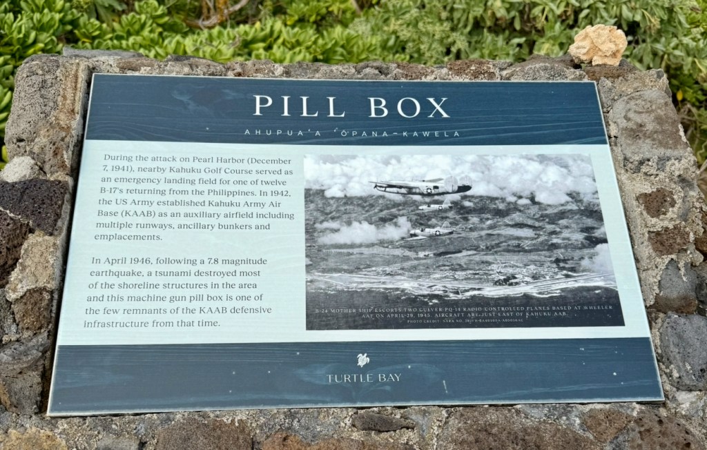 During the attack on Pearl Harbor (December 7, 1941), nearby Kahuku Golf Course served as an emergency landing field for one of twelve B-17's returning from the Philippines. In 1942. the US Army established Kahuku Army Air Base (KAAB) as an auxiliary airfield including multiple runways, ancillary bunkers and emplacements.
In April 1946, following a 7.8 magnitude earthquake, a tsunami destroyed most of the shoreline structures in the area and this machine gun pill box is one of the few remnants of the KAAB defensive infrastructure from that time.